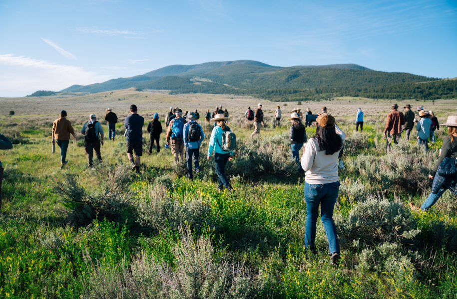 Clean Language Builds Connected Communities