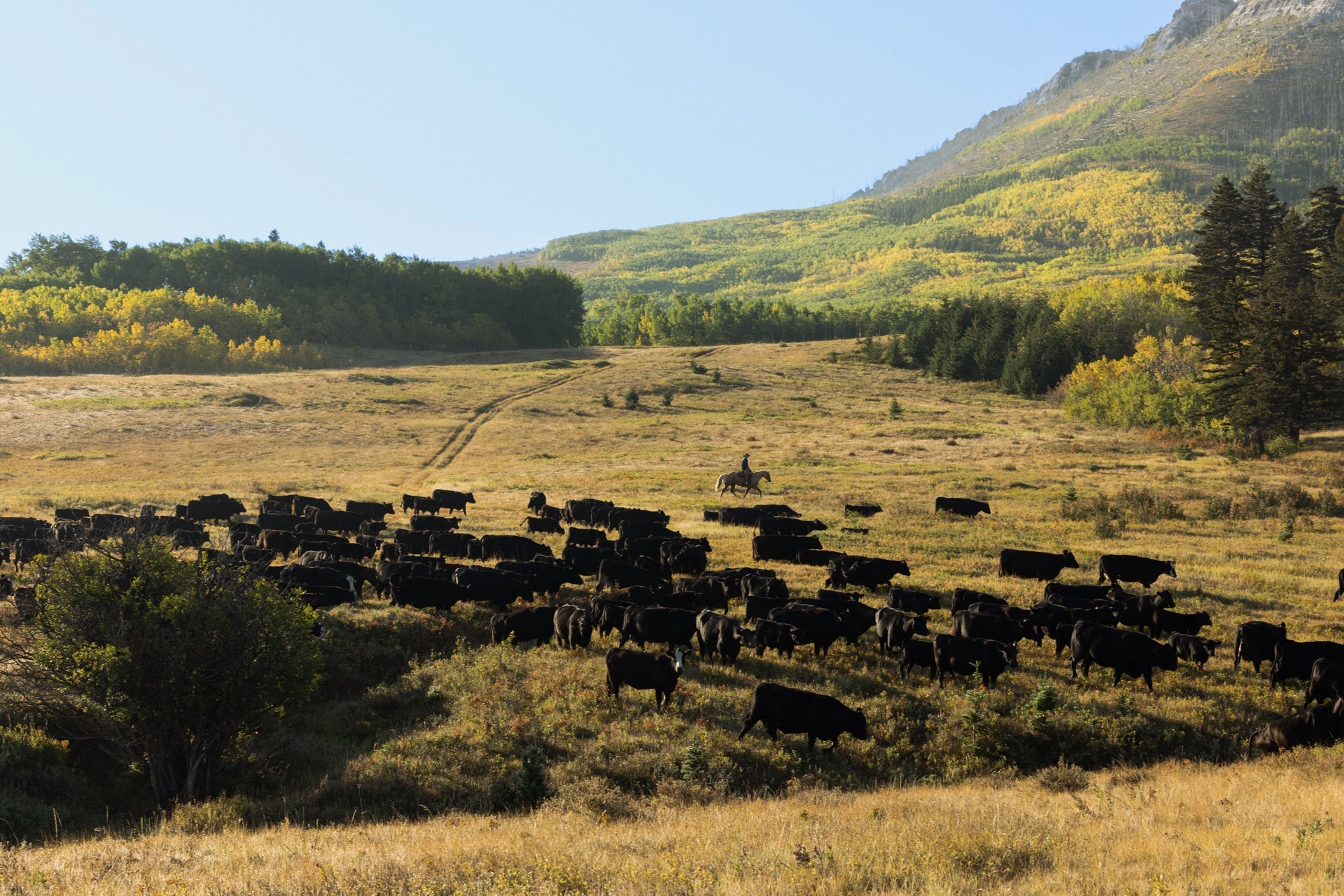 Building a Resilient Food Supply Chain