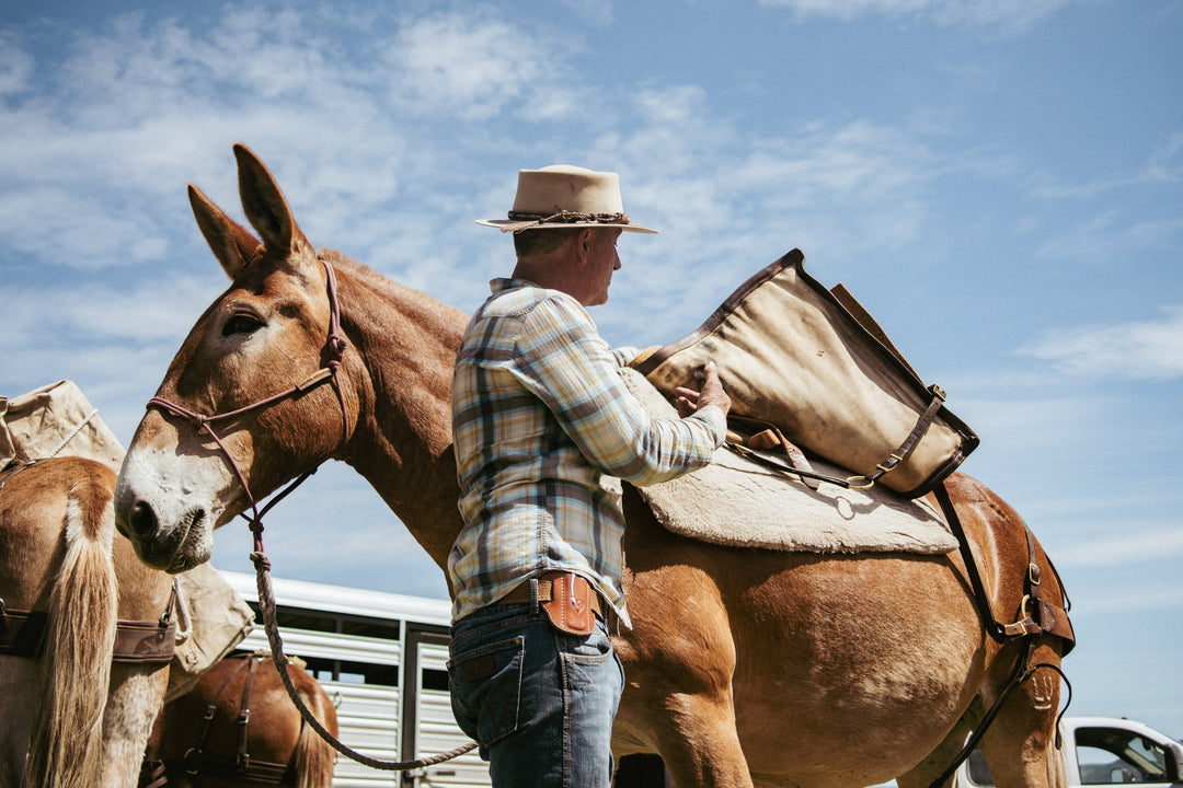 Call For Old Salt Festival Activities
