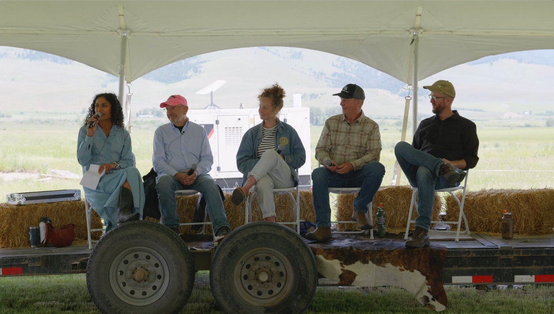 From Wall Street to Main Street: Who Owns the Regenerative Future?