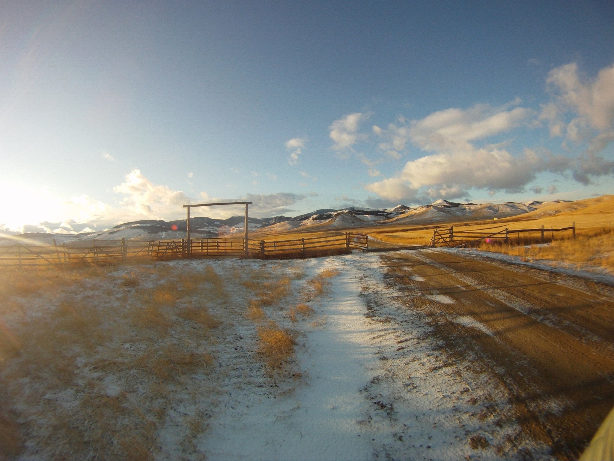 Hibbard/Sieben Live Stock - Old Salt Co-op