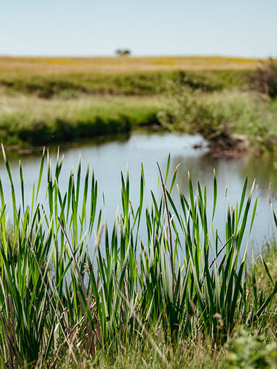 JbarLranch-np-4734 web 01.jpg__PID:2e63133b-28a5-45a2-841c-e45edb6b0387