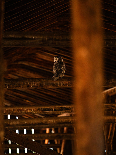 JbarLranch-np-4893 web 01.jpg__PID:ff700b94-beb2-4d7e-8250-9628aa4625ad