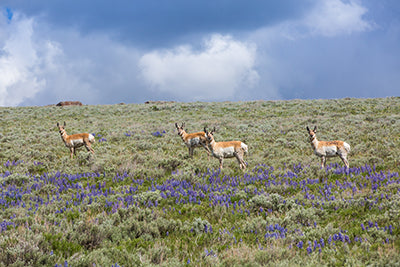 LDP_8081 web 01.jpg__PID:28a515a2-041c-445e-9b6b-03873ac228d7