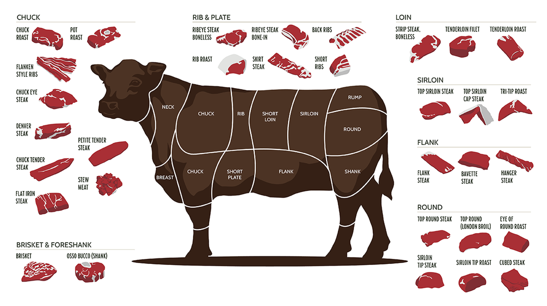 Diagram of a cow with labeled cuts of meat on a white background