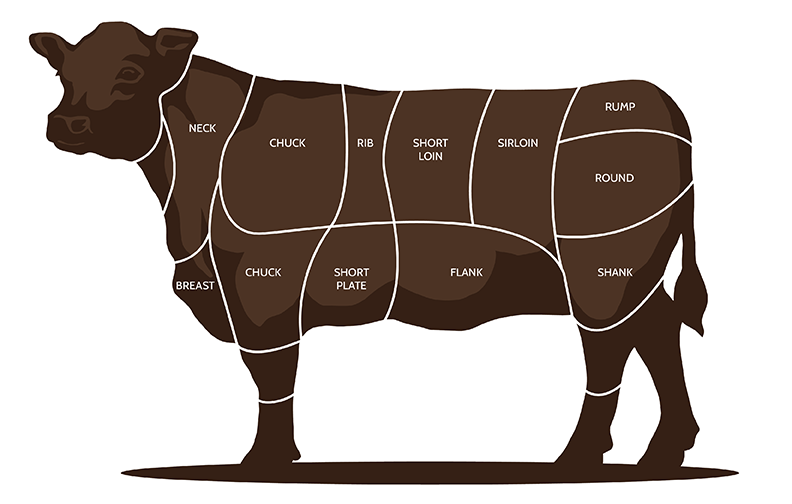 Diagram of a cow with labeled cuts of meat on a white background