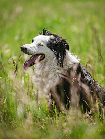 SiebensRanch-np-9109 web 01.jpg__PID:0b94beb2-8d7e-4250-9628-aa4625ad2faf