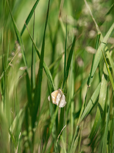 SiebensRanch-np-9125 web 01.jpg__PID:9216660f-768a-43e6-bd4c-c28715ff700b