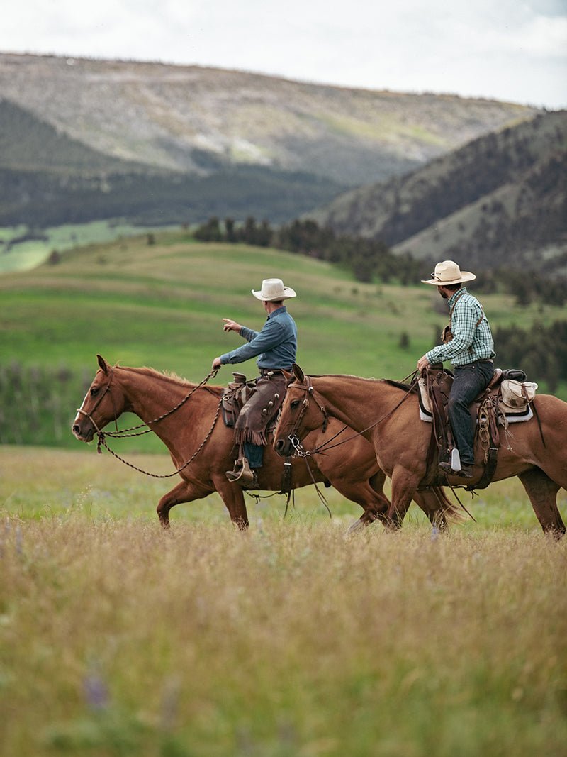 SiebensRanch-np-9201 web 01.jpg__PID:33265274-be85-485d-8e49-dd35323ceea4