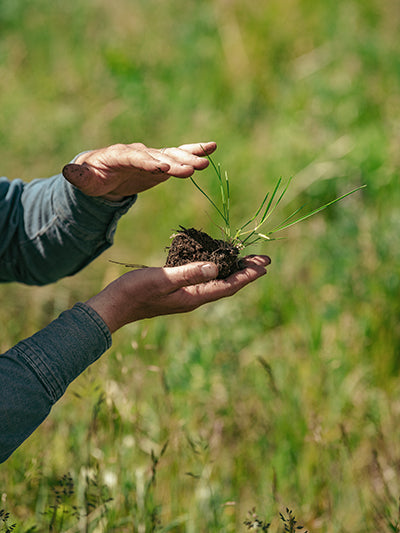 SiebensRanch-np-9369 web 01.jpg__PID:86ddb178-227d-43c9-9f1d-47c451638ee2