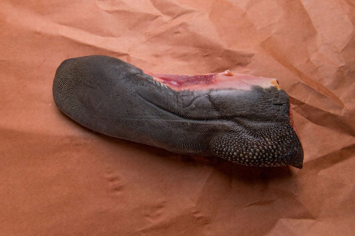Beef Tongue - Beef - Old Salt Co - op
