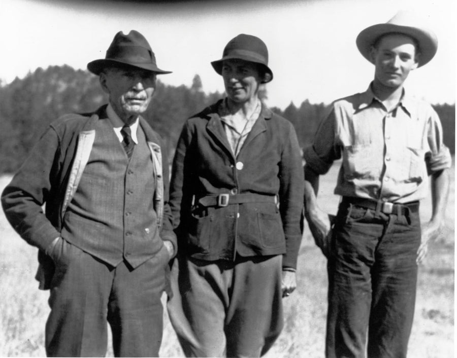 Sieben Livestock Company