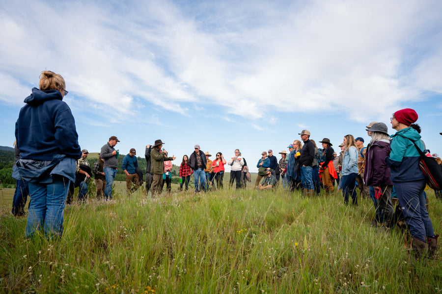 A group of people standing in a grassy field outdoors under a cloudy sky